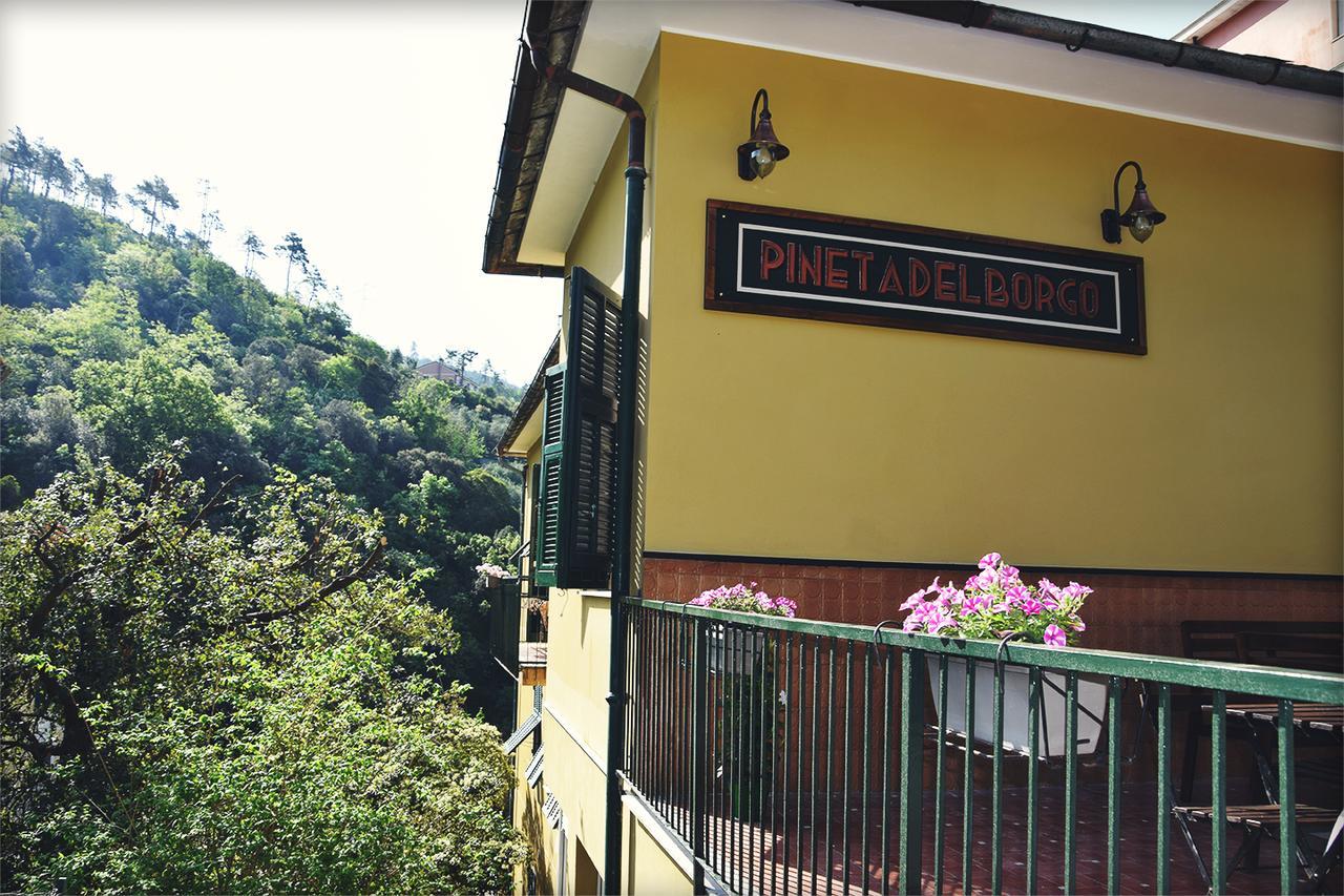 卡迪拉瓦尼亚 Pineta Del Borgo酒店 外观 照片
